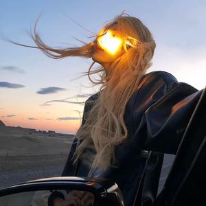 寻情记网站入口在哪里打开
