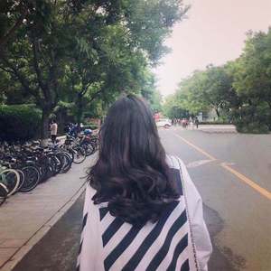 寻情记网站入口在哪里打开
