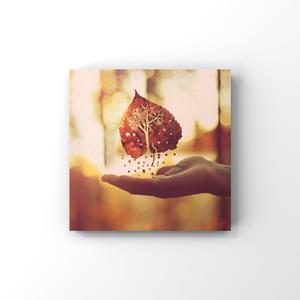 寻情记网站入口在哪里打开
